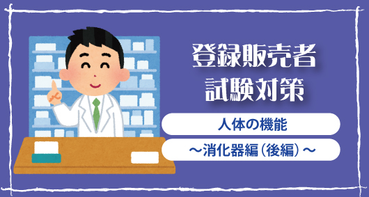 登録販売者試験対策「人体の機能　〜消化器編（後編）〜」